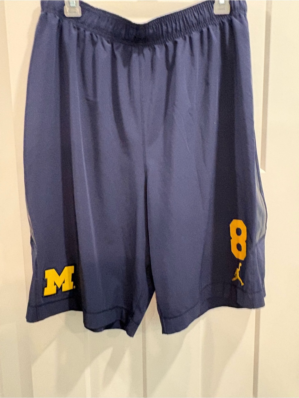 Jordan Michigan Wolverines Men's Basketball Shorts Team Issued #8 L (A7)